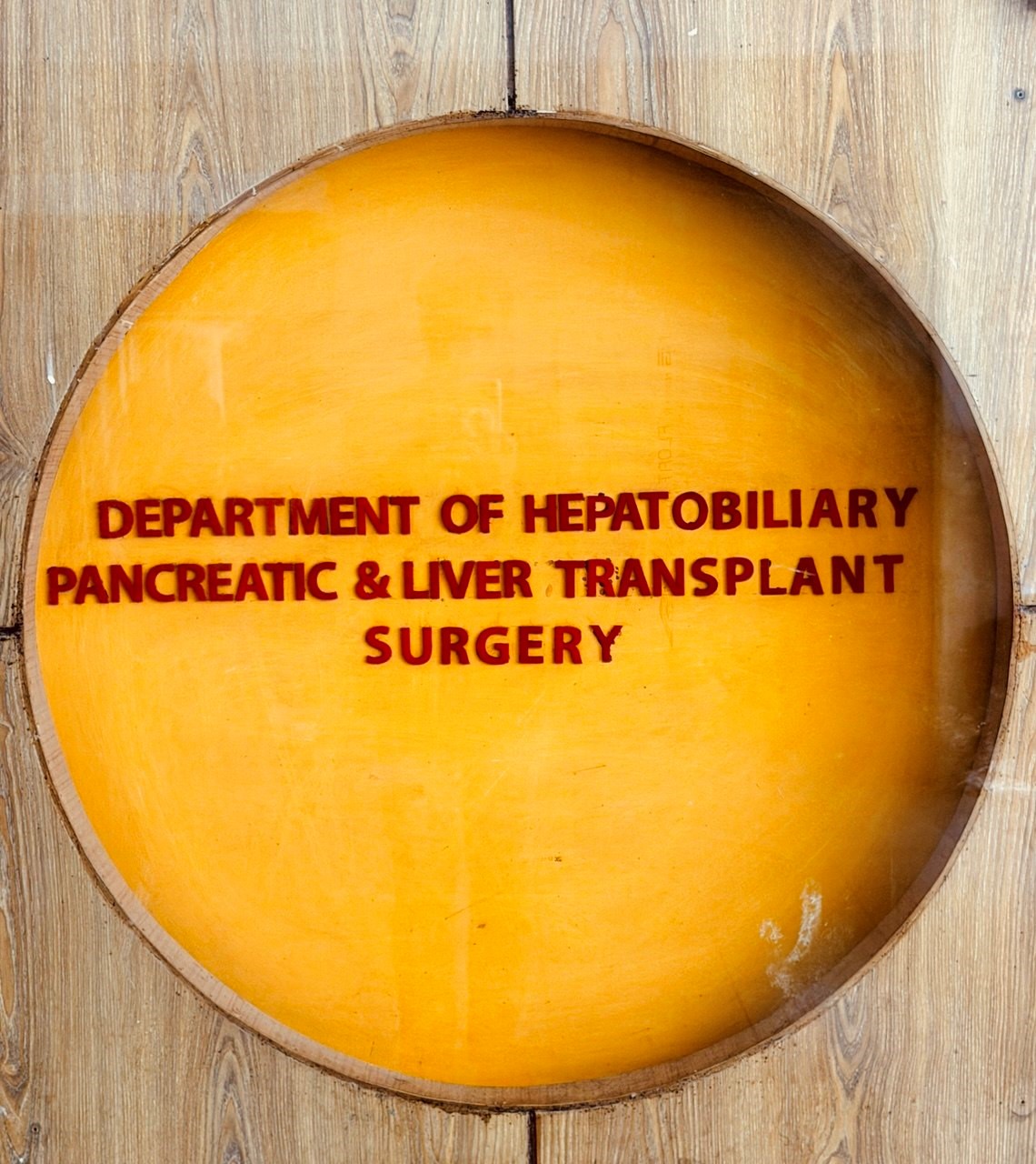 Hepatobiliary, Pancreatic and Liver Transplantation Surgery Department